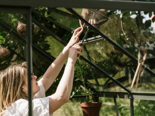 Drivhus Royal Well | Spire 6,0m²  | Olivengrå