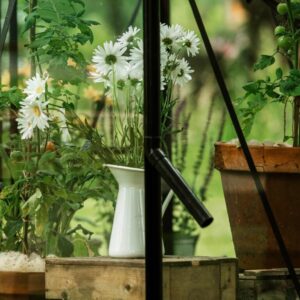 Drivhus Royal Well Spire 3,7m²  Sort