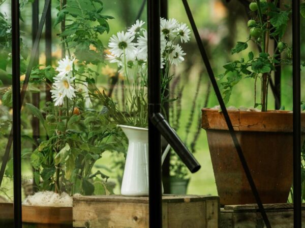 Drivhus Royal Well | Spire 3,7m²  | Sort