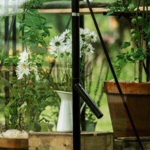 Drivhus Royal Well Spire 4,8m²  Sort