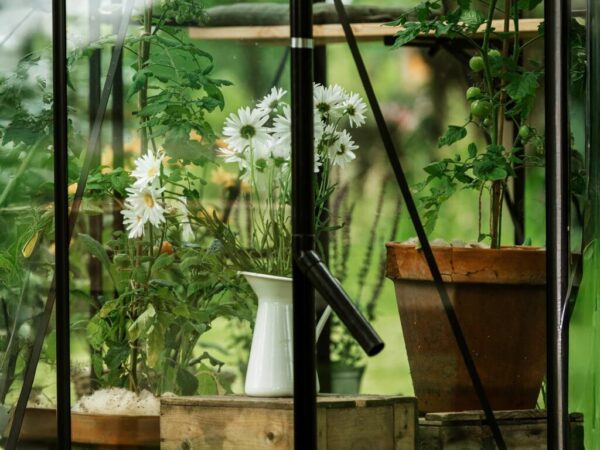 Drivhus Royal Well | Spire 4,8m²  | Sort