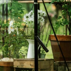 Drivhus Royal well Spire 7,2m² Sort