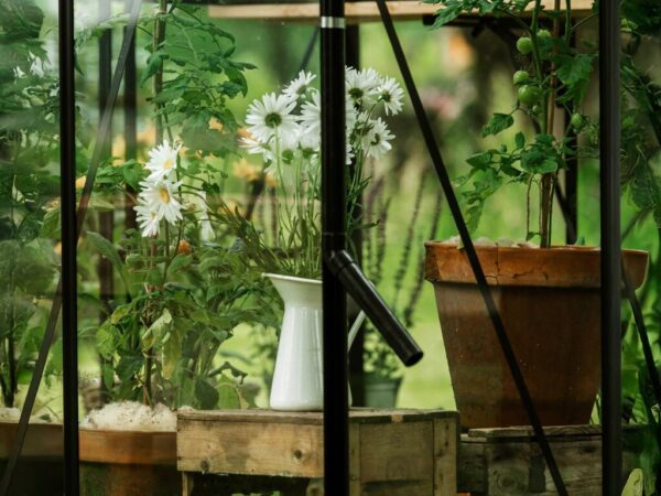 Drivhus Royal well | Spire 7,2m² | Sort