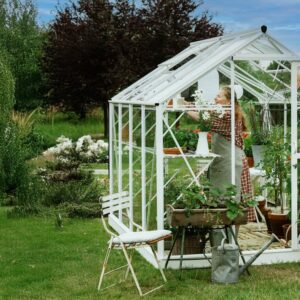 Large_08718215760894_C1N0 (Nettside)hvit Drivhus Royal well Solstuen 4,5m² Hvit