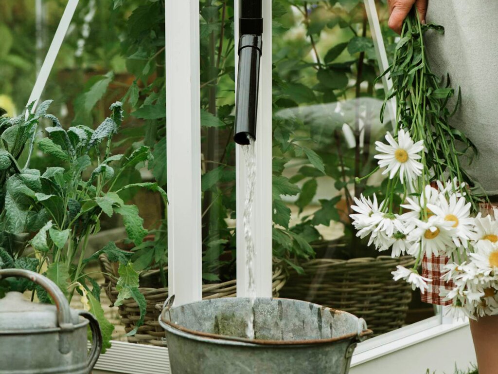 Drivhus Royal Well | Solstuen 7,5m² | Hvit - Bilde 9