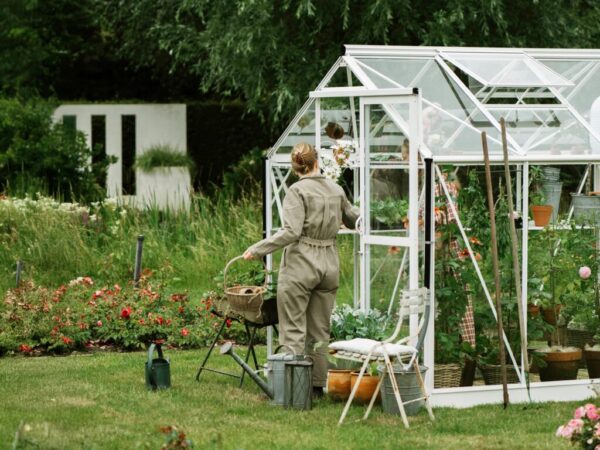 Large_08718215760900_C1R0 (Nettside)ute Drivhus Royal Well | Solstuen 7,5m² | Hvit