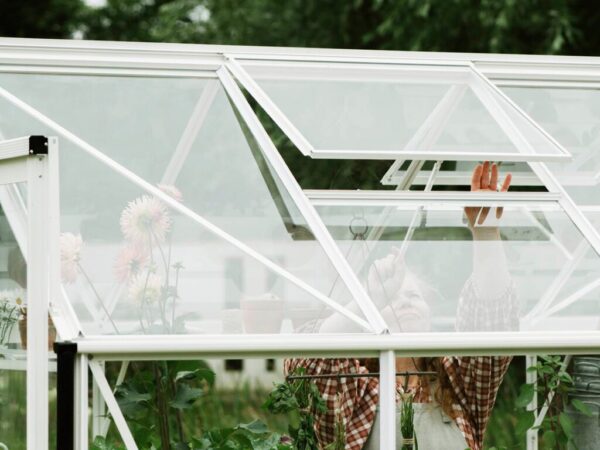 Large_08718215760900_C2N0 (Nettside)tak Drivhus Royal Well | Solstuen 7,5m² | Hvit