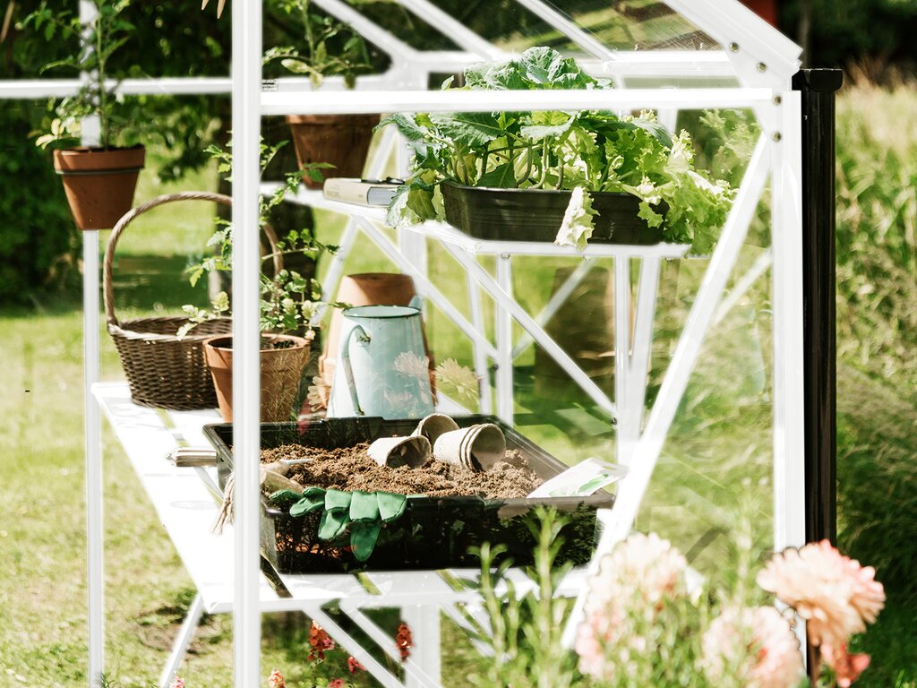 Drivhus | Spire 3,7m² | Hvit - Bilde 7