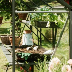 Drivhus Royal Well Spire 4,8m²  Sort