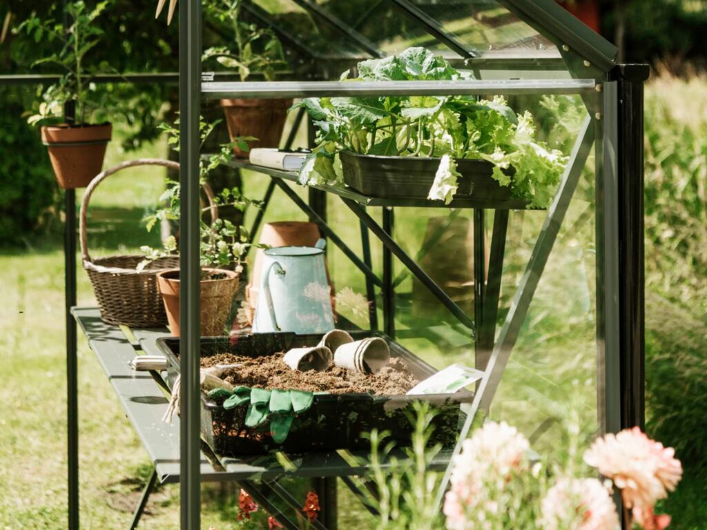 Drivhushylle | Spire | 123cm + 184cm | Olivengrå - Bilde 3