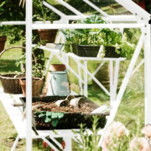 Drivhus Royal Well Spire 4,8m²  Hvit