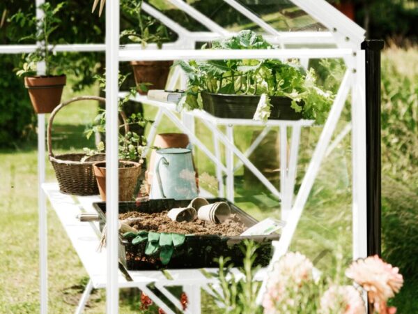 Drivhushylle | Spire | 123cm + 184cm | Hvit