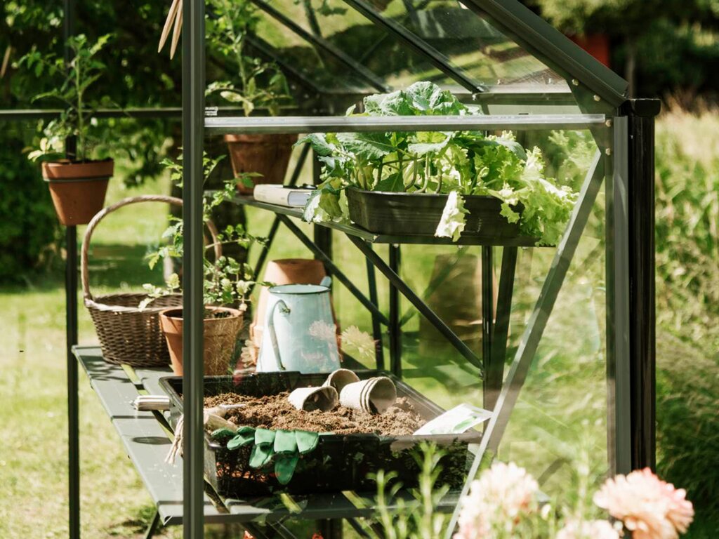 Drivhusbenk | Spire | 123cm + 184cm | Olivengrå - Bilde 2