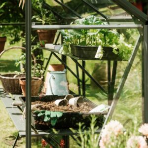 Drivhus Royal Well Spire 7,2m² Olivengrå