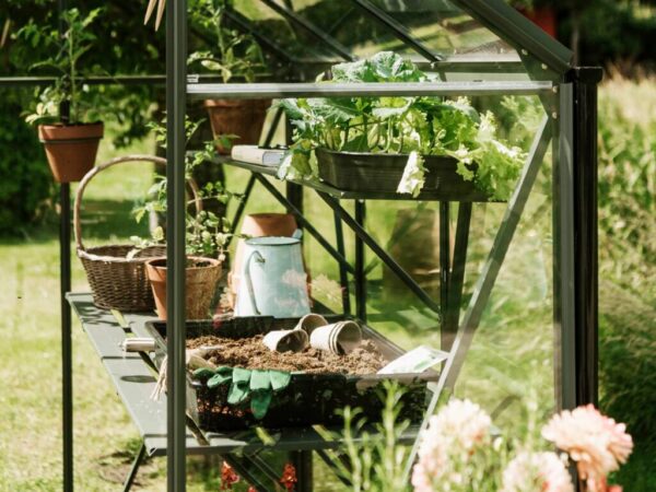 Drivhus Royal Well | Spire 7,2m²  | Olivengrå