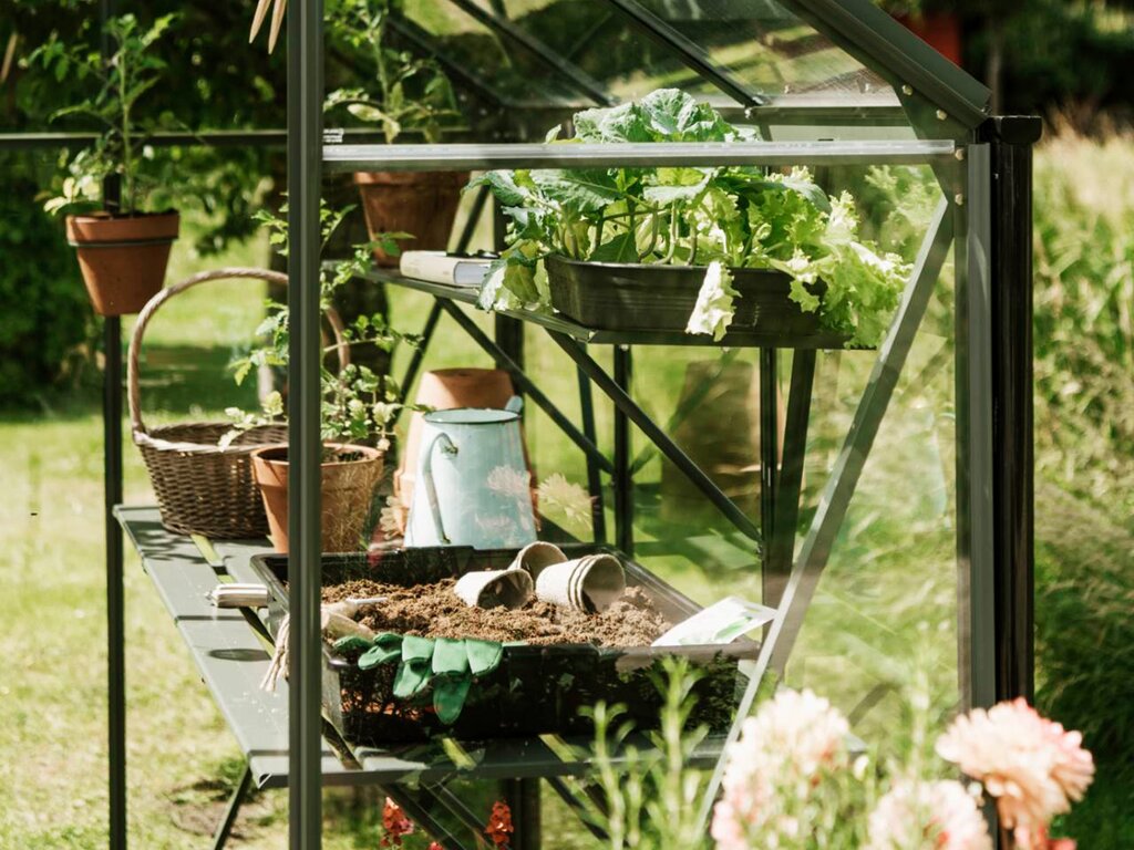 Drivhus Royal Well | Spire 7,2m²  | Olivengrå - Bilde 8