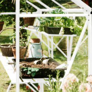 Drivhus Royal Well Spire 7,2m²  Hvit