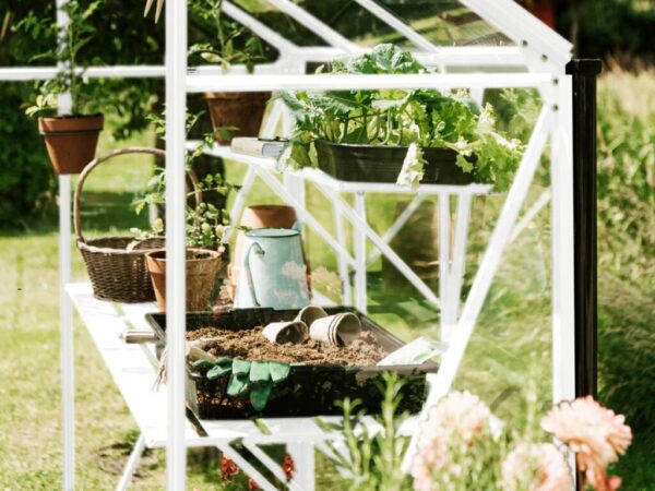 Drivhus Royal Well | Spire 7,2m²  | Hvit