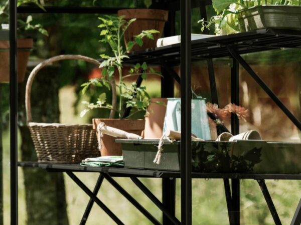 Drivhushylle | Spire | 123cm | Sort