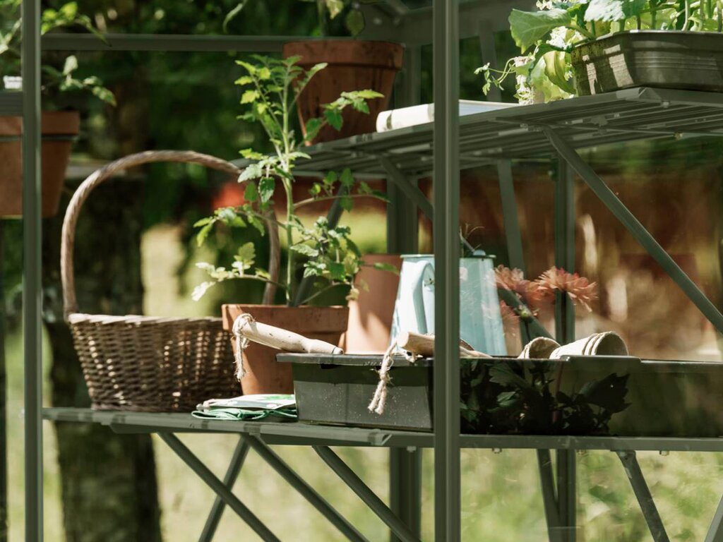 Drivhushylle | Spire | 123cm + 184cm | Olivengrå - Bilde 2