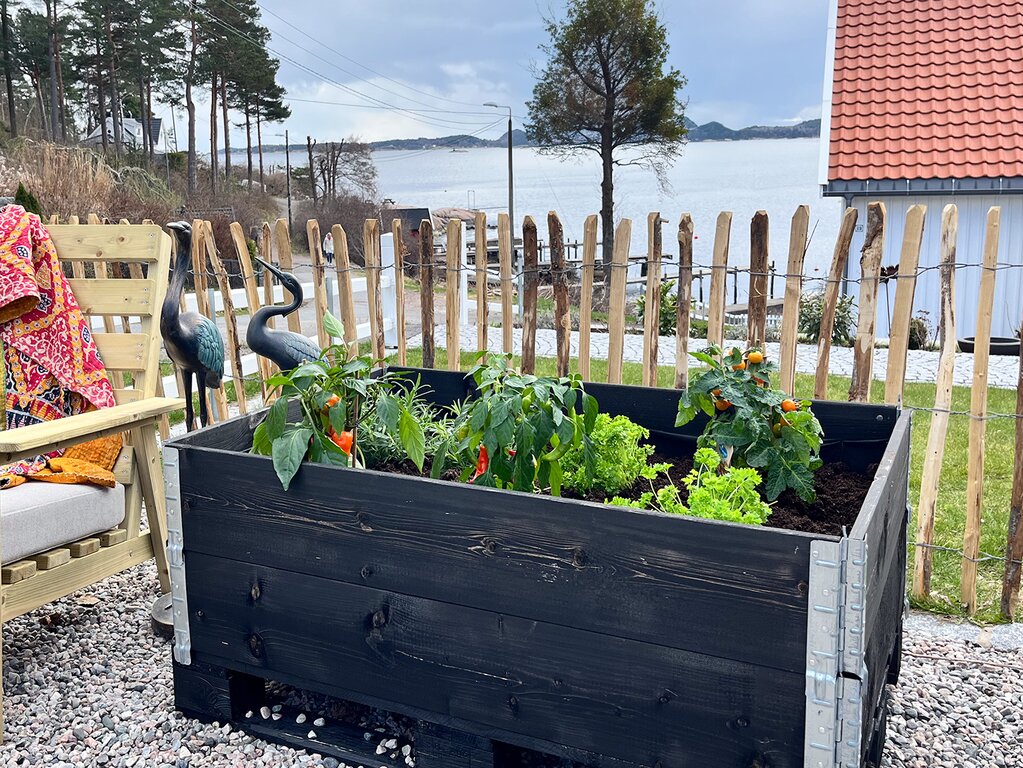 Kastanjegjerde - Bilde 3