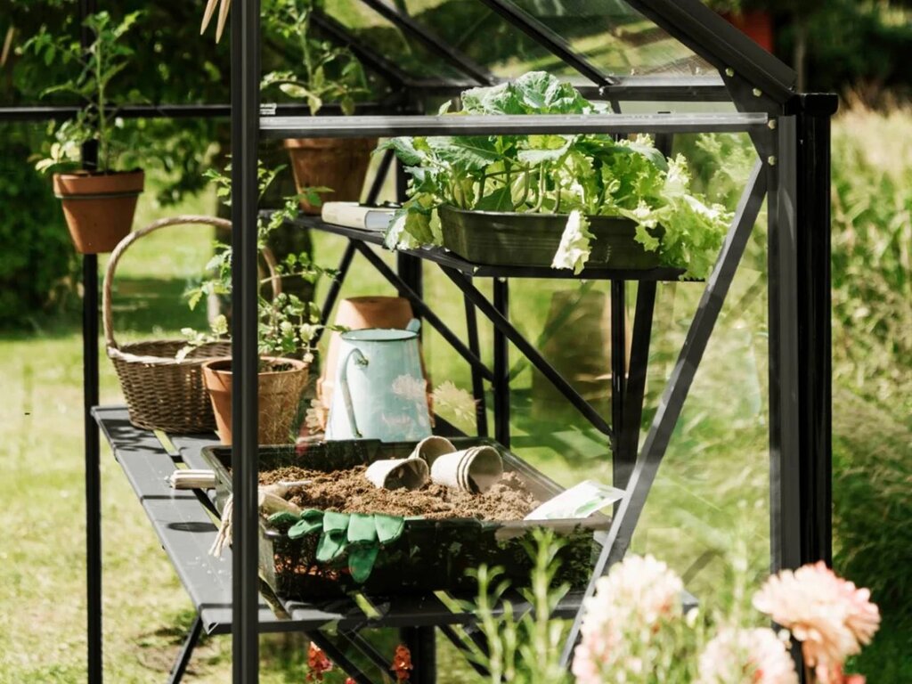 Drivhushylle | Spire | 123cm + 184cm | Sort - Bilde 1