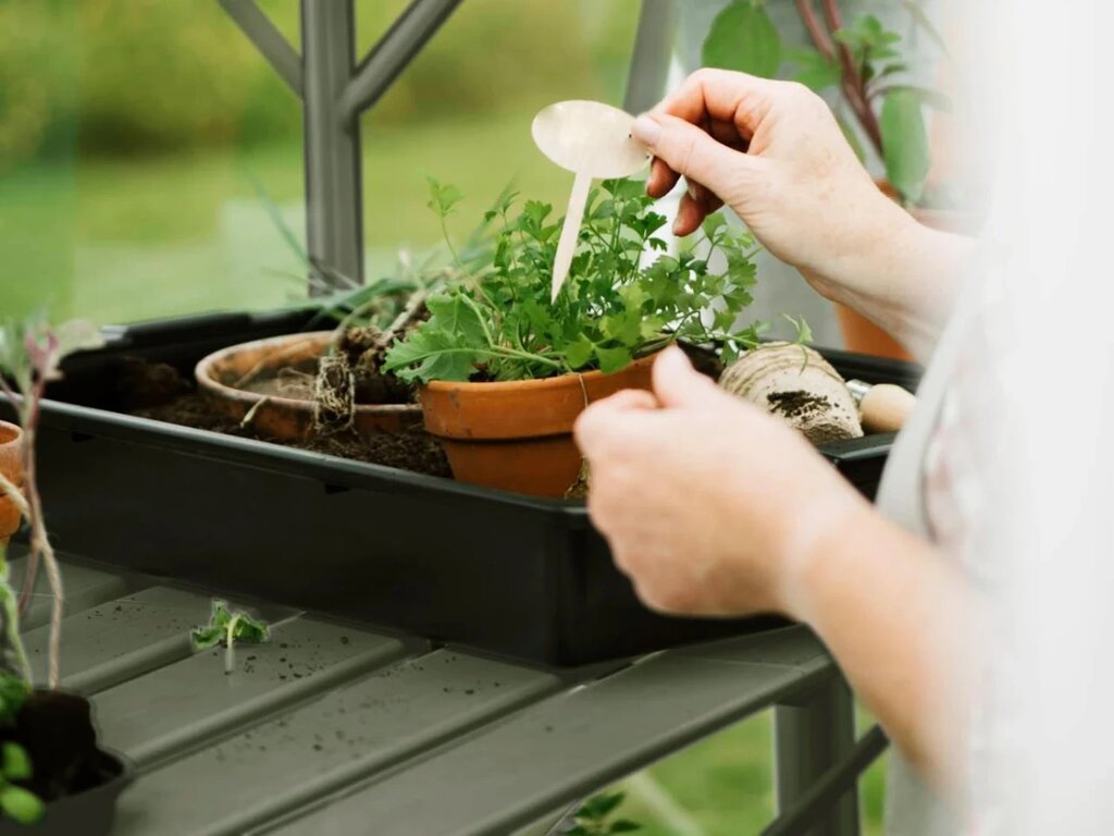 Drivhushylle | Solstuen | 141cm + 210cm | Olivengrå - Bilde 1