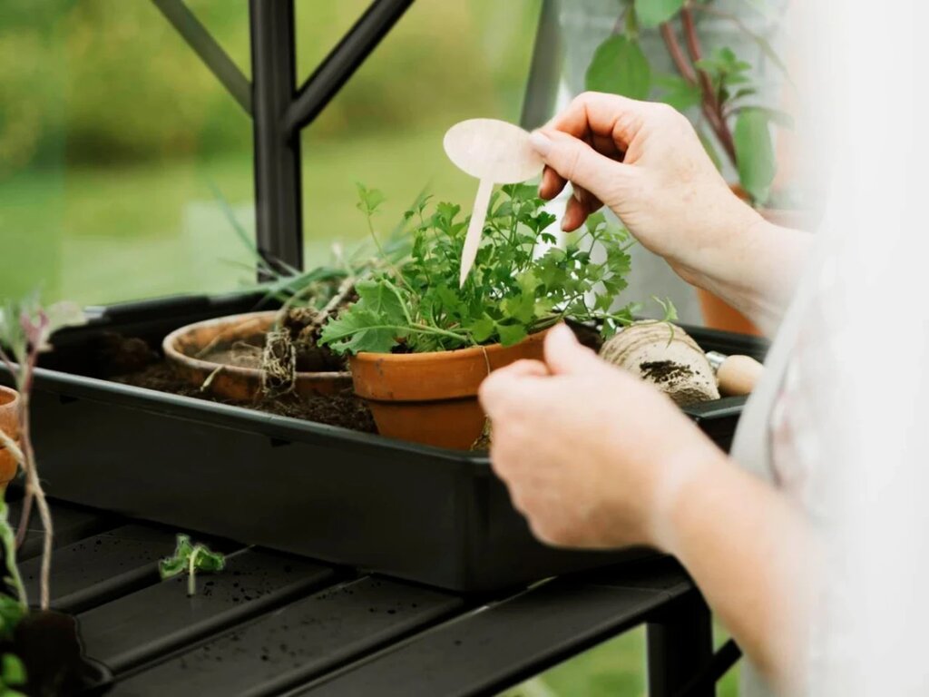 Drivhushylle | Solstuen | 210cm | Sort - Bilde 2