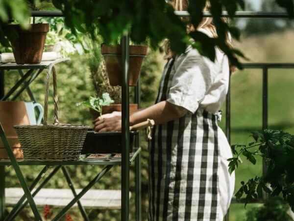 Drivhushylle | Spire | 123cm + 184cm | Olivengrå