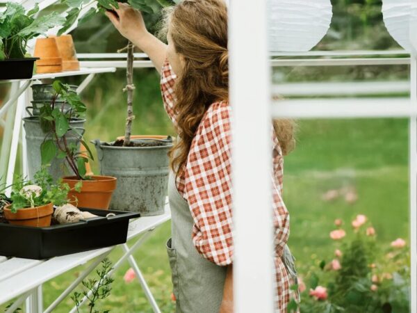 Drivhushylle | Solstuen | 141cm | Hvit