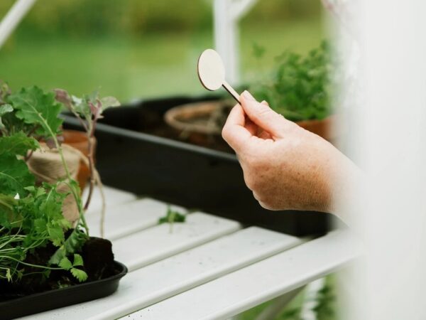 Drivhusbenk | Solstuen | 141cm | Hvit