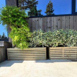 Blomsterkasse 103 x 39 cm