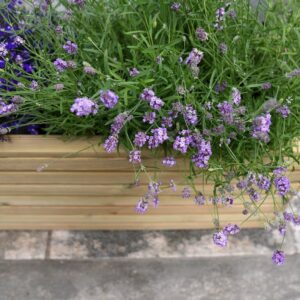 Blomsterkasse 120 x 39 cm