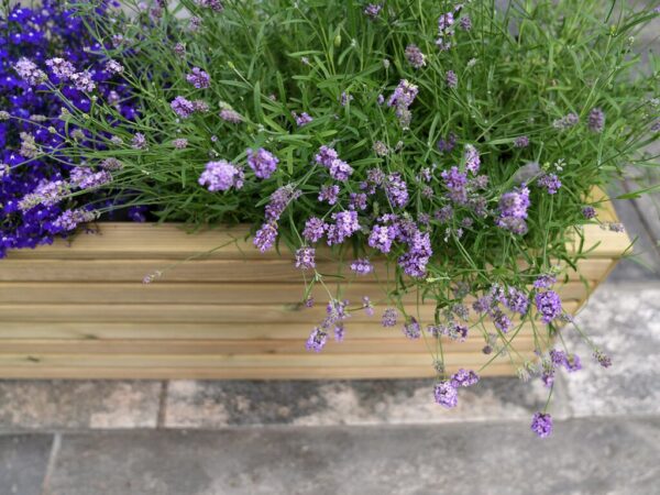 Blomsterkasse | 120 x 39 cm