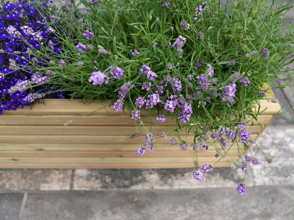 Blomsterkasse | 120 x 39 cm - Bilde 2