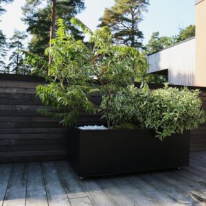 Sort blomsterkasse med grønn plante. Foto.