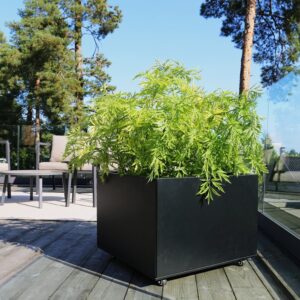 Plantekasse Sort 60 x 60 cm