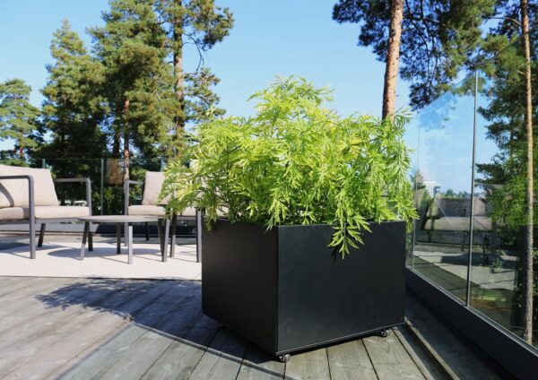 Plantekasse | Sort | 60 x 60 cm