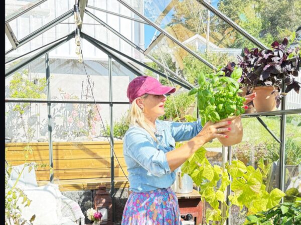 Large_Drivhus med hylle Drivhus Royal Well | Solstuen 7,5m² | Olivengrå