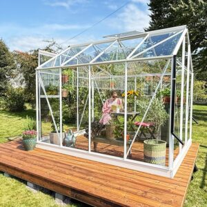 Large_Hvitt drivhus Drivhus Royal Well Solstuen 6,1m² Hvit