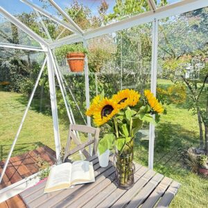 Large_Hvitt drivhus inni Drivhus Royal Well Solstuen 6,1m² Hvit