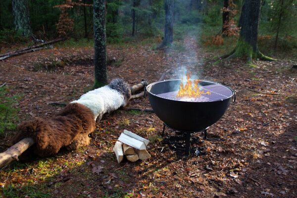 Large_IMG_5175 Bålpanne støpejern