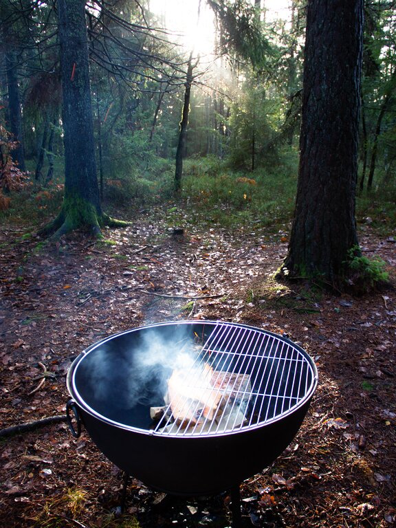 Large_IMG_5177 Bålpanne støpejern