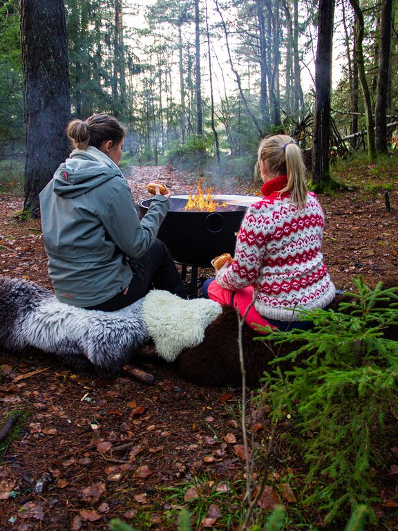 Large_IMG_5353 Bålpanne støpejern