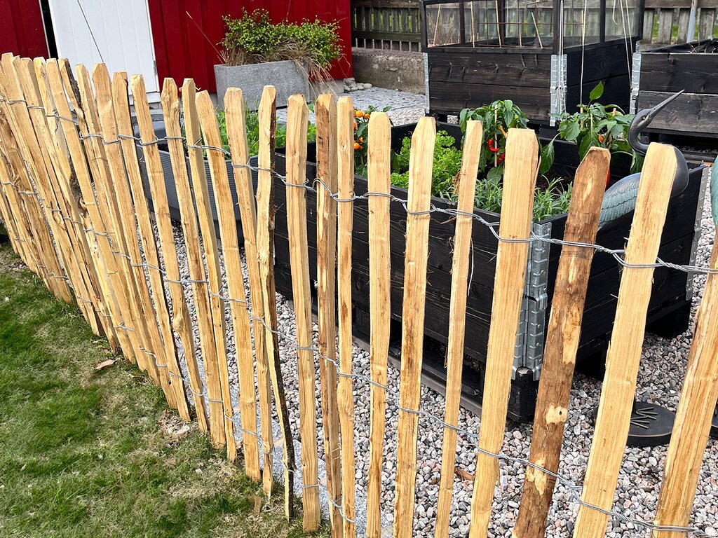 Kastanjegjerde - Bilde 1