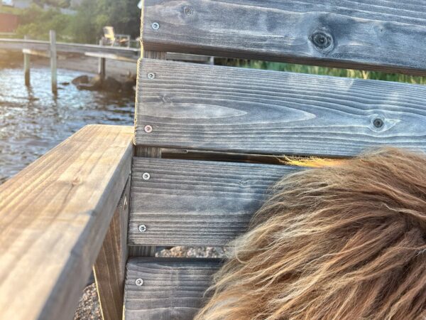 Large_Nærbilde treverk 4_3 Tinde loungestol impregnert grå