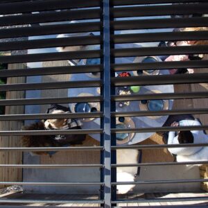 Pergola veggmontert høy | Sørøya | 3x3m sort