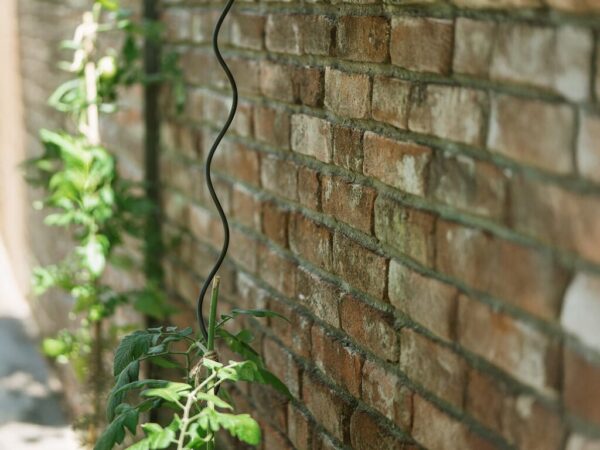 Plantespiral | 4 stk | Sort