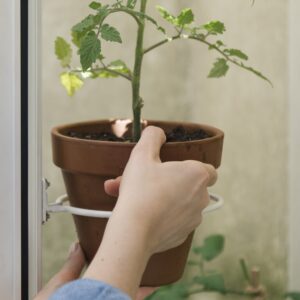 Large_Potteholder drivhus hvit