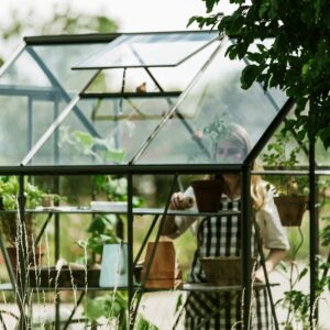 Drivhus Royal Well Spire 6,0m²  Olivengrå